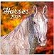 Kalendář 2025 poznámkový: Koně - Christiane Slawik, 30 × 30 cm
