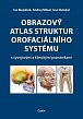 Obrazový atlas struktur orofaciálního systému s vývojovými a klinickými poznámkami