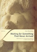 Waiting for Something That Never Arrived - Meditations on a Progressive America in Honor of Tony Judt