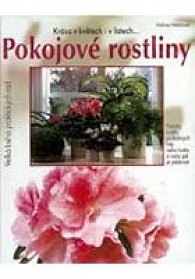 Pokojové rostliny - Vašut