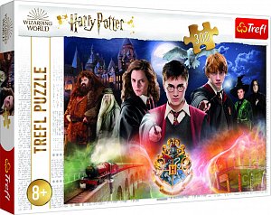 Trefl Puzzle Harry Potter - Tajemný Harry Potter/300 dílků