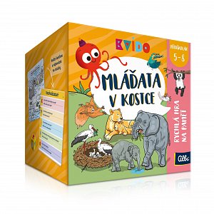 Kvído - Mláďata v kostce