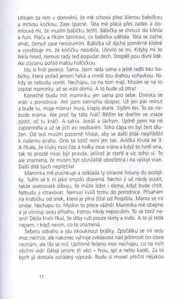 Náhled Zpověď střapaté holky