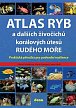 Atlas ryb a dalších živočichů korálových útesů Rudého moře - Praktická příručka pro vodní nadšence