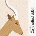Co je odtud vidět - CDmp3 (Čte Helena Dvořáková)