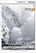 Avalanche! High Intermediate Book with Online Access
