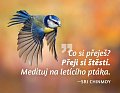 Magnet na lednici - Co si přeješ? Přeji si štěstí. Medituj na letícího ptáka.