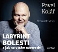 Labyrint bolesti (audiokniha)