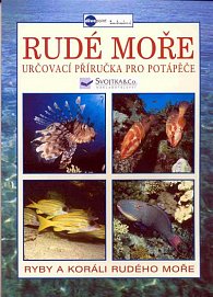 Rudé moře - Určovací příručka pro potápěče