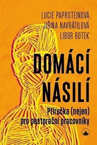 Domácí násilí