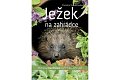 Ježek na zahrádce - Pichlavá návštěva v přírodní zahradě