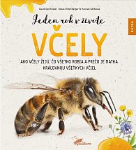Jeden rok v živote včely - Ako včely žijú, čo všetko robia a prečo je matka kráľovnou všetkých včiel