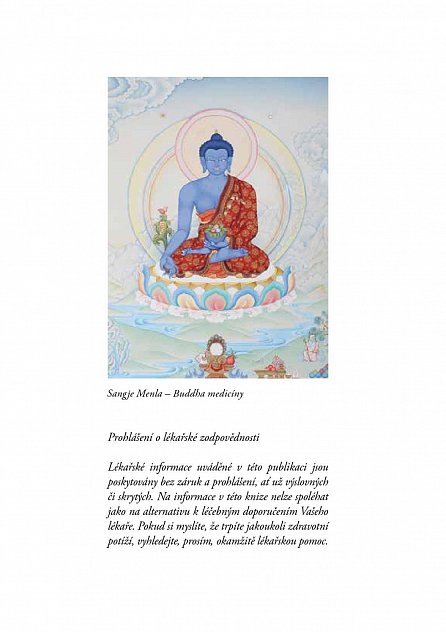 Náhled Tibetská kniha zdraví - Sowa rigpa – tibetské umění léčit