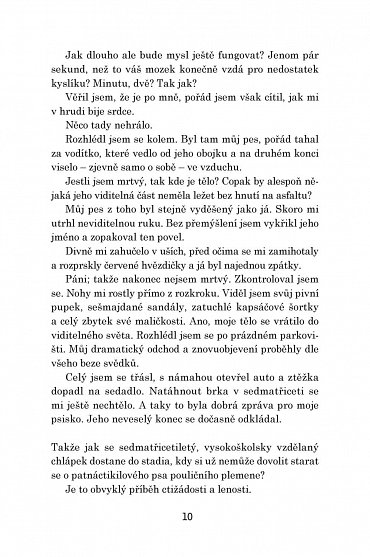 Náhled Neviditelný