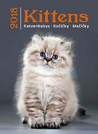 Kalendář nástěnný 2018 - Kočičky