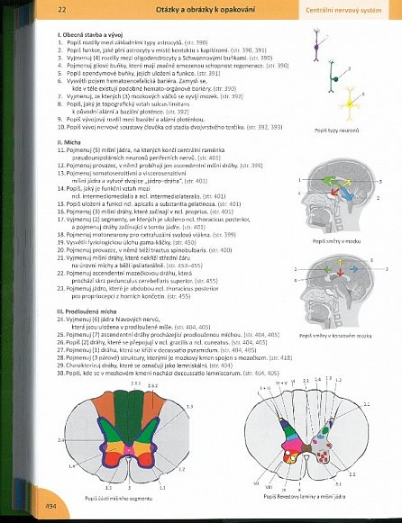 Náhled Memorix Anatomie