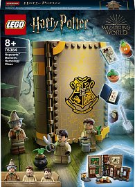 LEGO® Harry Potter™ 76384 Kouzelné momenty z Brada