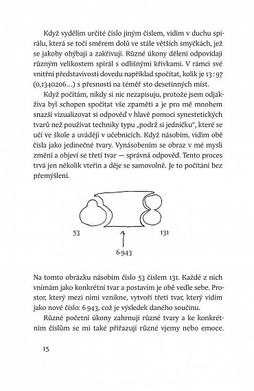 Náhled Narozen v modrý den - Pohled do neobyčejné mysli autistického savanta