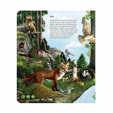 Náhled Svět zvířat - Kouzelné čtení