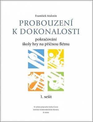 Probouzení k dokonalosti - Pokračování školy hry na příčnou flétnu