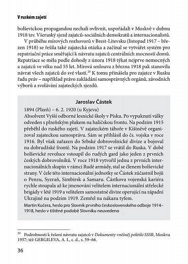 Náhled V ruském zajetí - Organizace zajatých Čechů a Slováků v Rusku (1914-1918)