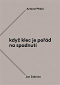 Když klec je pořád na spadnutí - Vzájemná korespondence Antonína Přidala a Jana Zábrany z let 1963-1984, 1.  vydání