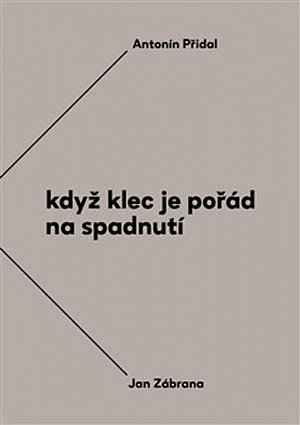 Když klec je pořád na spadnutí - Vzájemná korespondence Antonína Přidala a Jana Zábrany z let 1963-1984, 1.  vydání