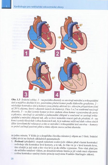 Náhled Kardiologie pro nelékařské zdravotnické obory