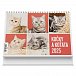 Kočky a koťata 2025 - stolní kalendář
