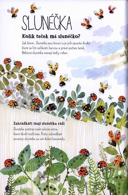 Náhled Velká kniha drobné havěti - Brouci, mouchy, žížaly a jiné potvůrky