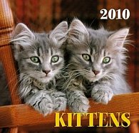 Kočky 2010 - nástěnný kalendář