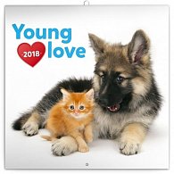 Kalendář poznámkový 2018 - Young Love – koťata & štěňata, 30 x 30 cm
