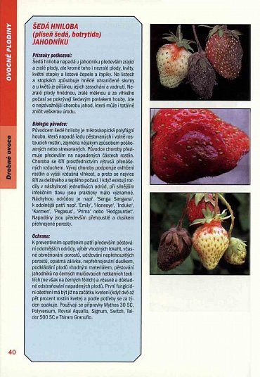 Náhled Atlas chorob a škůdců ovoce, zeleniny a okrasných rostlin