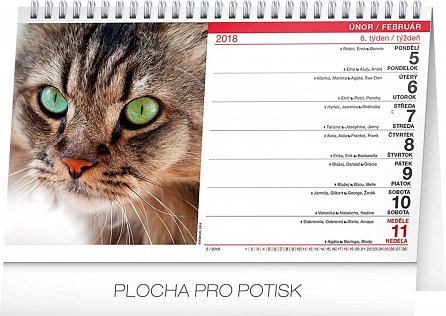 Náhled Kalendář stolní 2018 - Kočky – Mačky CZ/SK, 23,1 x 14,5 cm