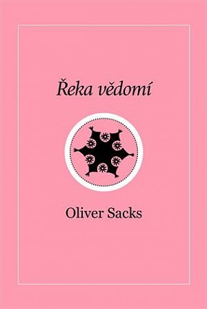 Řeka vědomí