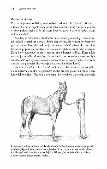 Náhled Výcvik a chov koní - Příručka pro chovatele