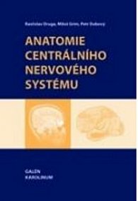 Anatomie centrálního nervového systému