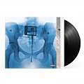Virgin - LP