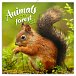 Poznámkový kalendář Zvířátka z lesa 2023 - nástěnný kalendář