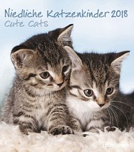 Kalendář Cute Cats 2018 (30 x 34 cm)