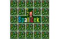 Špalíček - Pexeso