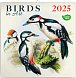 NOTIQUE Poznámkový kalendář Ptáčci 2025, 30 x 30 cm