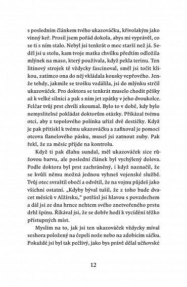 Náhled Sešit s tátovými recepty