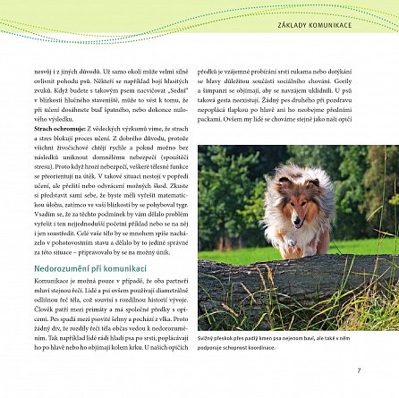 Náhled Výcvik psa na procházkách - Šestitýdenní tréninkový plán, 1.  vydání