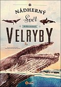Nádherný svět moří a oceánů Velryby