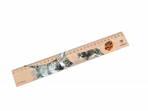 Dřevěné pravítko 30 cm vlk obecný