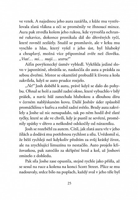 Náhled Zaříkávač - Tajemství nesmrtelného Nicolase Flamela - 2. vydání