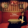 Jamie Cullum: Taller - CD