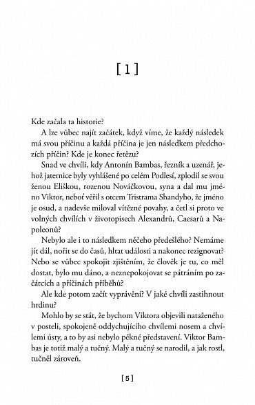 Náhled Podivuhodný příběh Viktora Bambase aneb škola optimismu