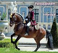 Portugalskem za lusitány / O Lusitano e Portugal